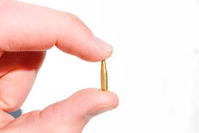 Load image into Gallery viewer, GoatGuns SR Dummy Rounds