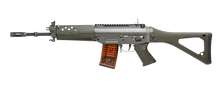 Load image into Gallery viewer, G&G SIG 553 .. SG553【TSG-553-STD-BNB-NCM】
