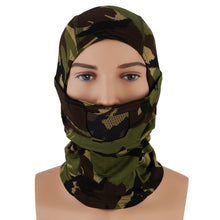 Load image into Gallery viewer, CYGNUS ARMORY  Fullface Warrior
